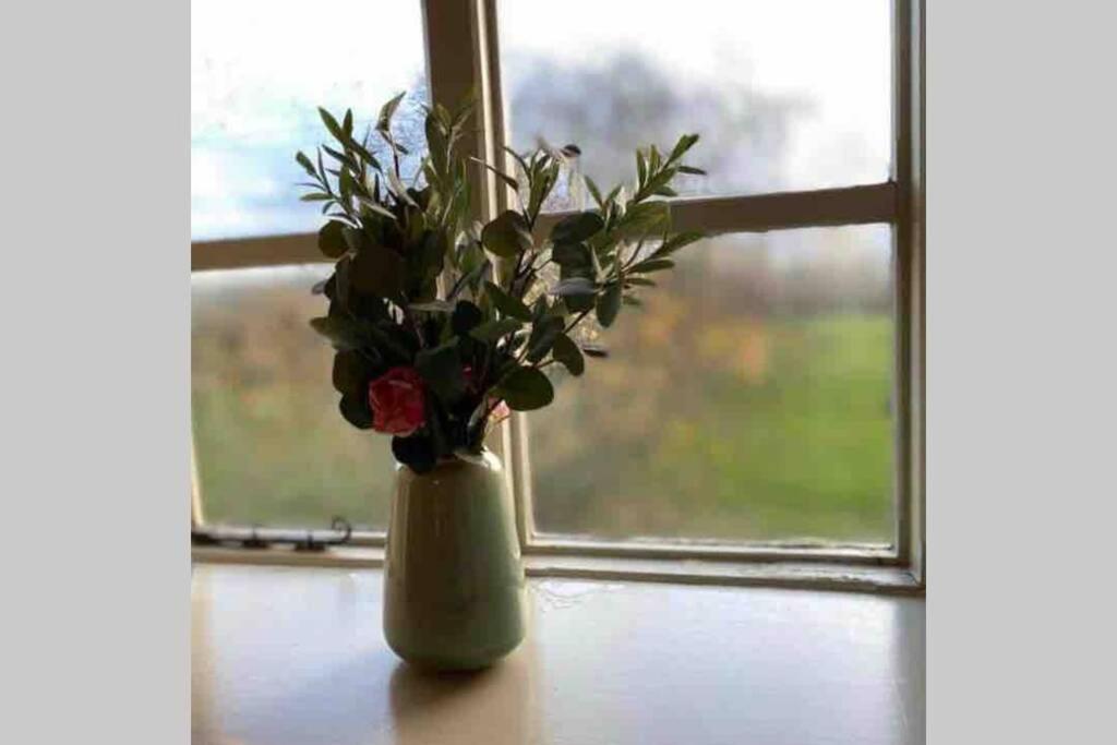 Upper Heath Farm - Stable Cottage Ludlow Craven Arms Luaran gambar