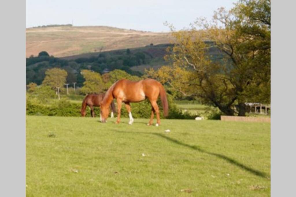 Upper Heath Farm - Stable Cottage Ludlow Craven Arms Luaran gambar