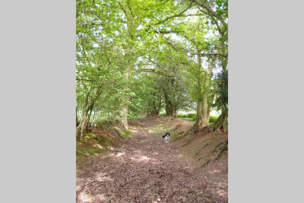 Upper Heath Farm - Stable Cottage Ludlow Craven Arms Luaran gambar